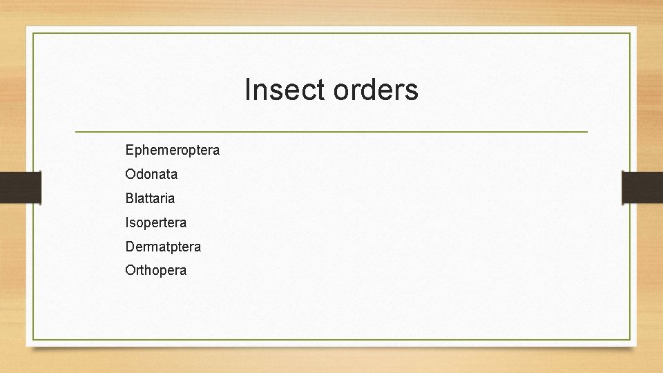 Insect orders Ephemeroptera Odonata Blattaria Isopertera Dermatptera Orthopera 