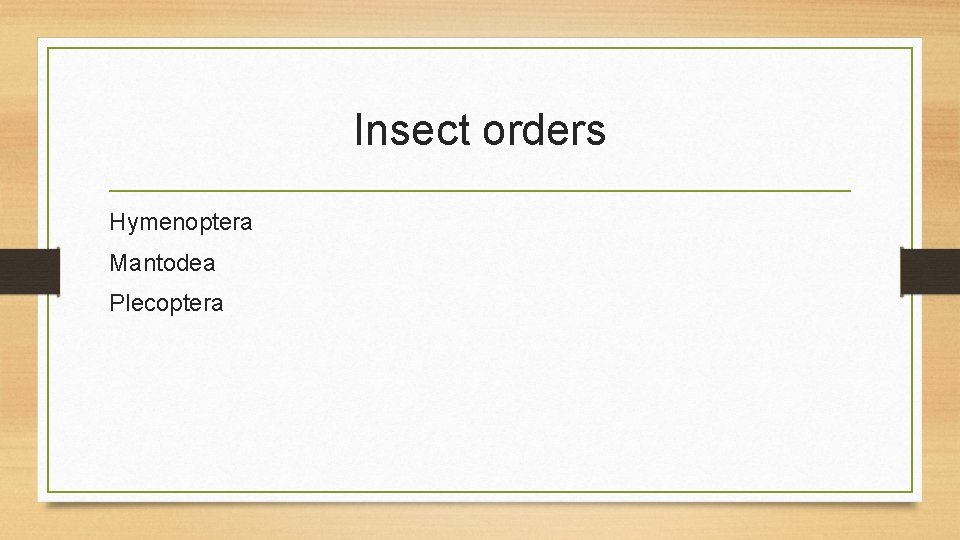 Insect orders Hymenoptera Mantodea Plecoptera 