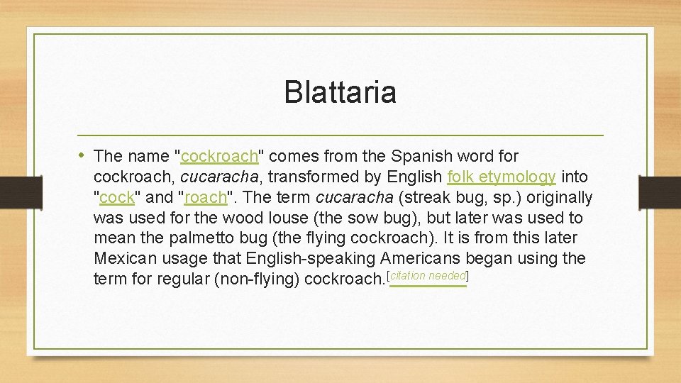 Blattaria • The name "cockroach" comes from the Spanish word for cockroach, cucaracha, transformed