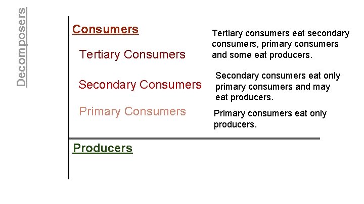 Decomposers Consumers Tertiary Consumers Secondary Consumers Primary Consumers Producers Tertiary consumers eat secondary consumers,