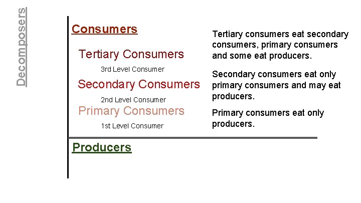 Decomposers Consumers Tertiary Consumers 3 rd Level Consumer Secondary Consumers 2 nd Level Consumer