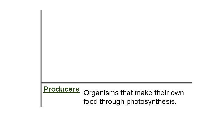 Producers Organisms that make their own food through photosynthesis. 