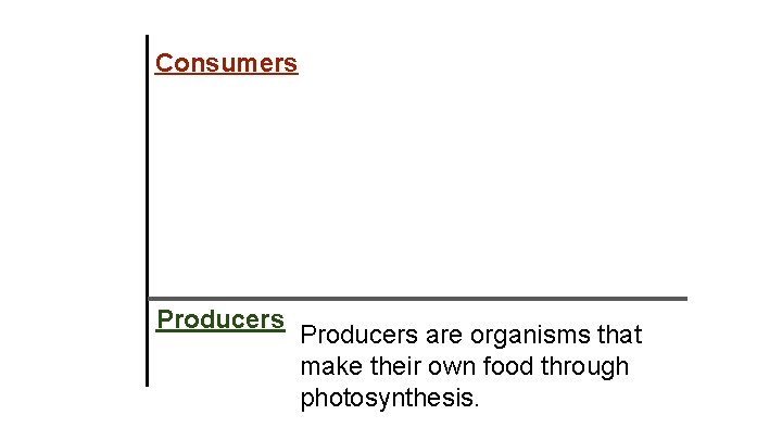 Consumers Producers are organisms that make their own food through photosynthesis. 