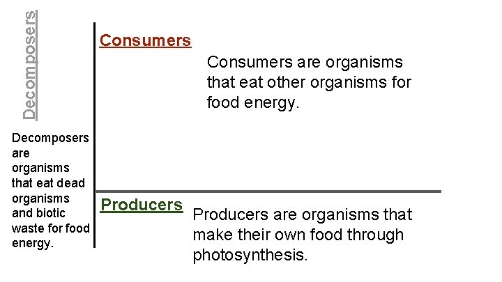 Decomposers are organisms that eat dead organisms and biotic waste for food energy. Consumers