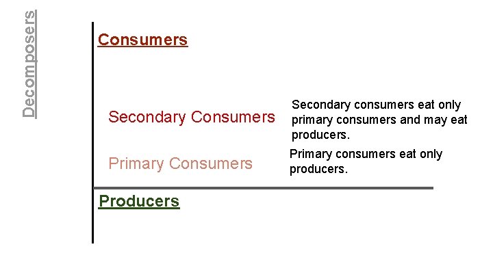 Decomposers Consumers Secondary consumers eat only primary consumers and may eat producers. Primary Consumers