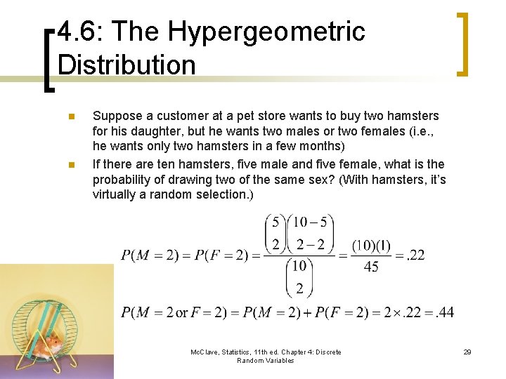 4. 6: The Hypergeometric Distribution n n Suppose a customer at a pet store