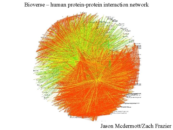 Bioverse – human protein-protein interaction network Jason Mcdermott/Zach Frazier 