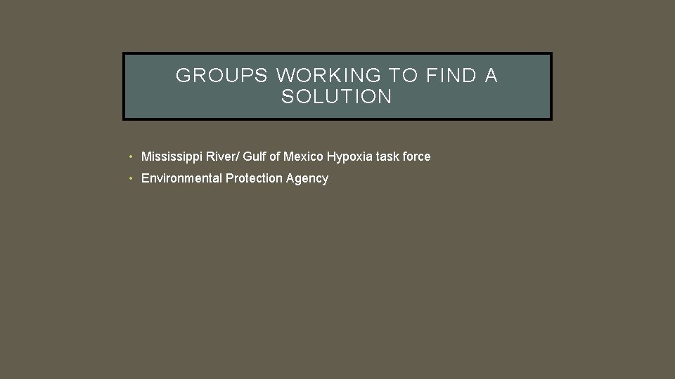 GROUPS WORKING TO FIND A SOLUTION • Mississippi River/ Gulf of Mexico Hypoxia task
