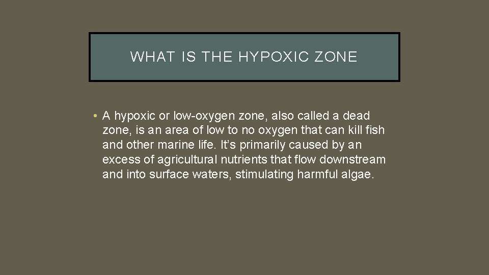 WHAT IS THE HYPOXIC ZONE • A hypoxic or low-oxygen zone, also called a