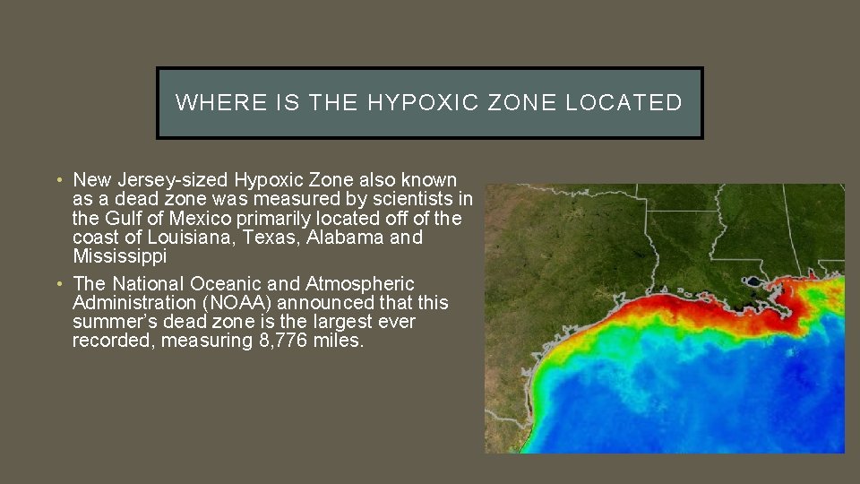 WHERE IS THE HYPOXIC ZONE LOCATED • New Jersey-sized Hypoxic Zone also known as
