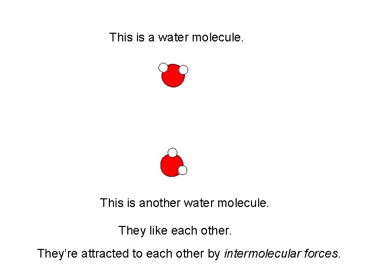 This is a water molecule. This is another water molecule. They like each other.