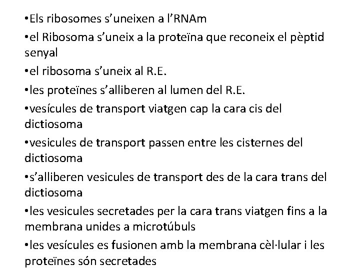  • Els ribosomes s’uneixen a l’RNAm • el Ribosoma s’uneix a la proteïna