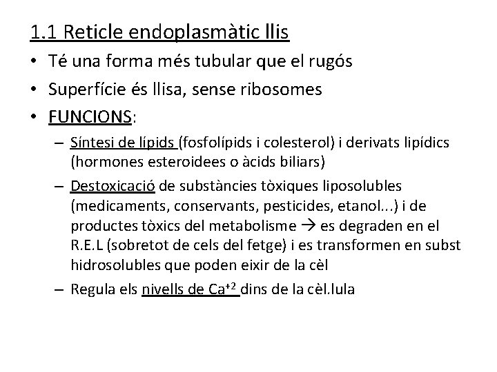 1. 1 Reticle endoplasmàtic llis • Té una forma més tubular que el rugós