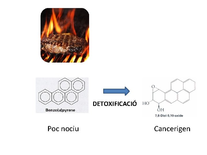 DETOXIFICACIÓ Poc nociu Cancerigen 