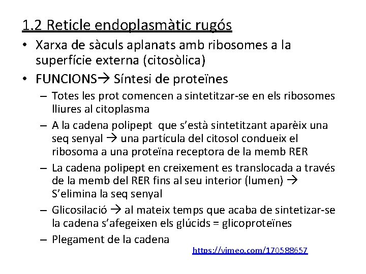 1. 2 Reticle endoplasmàtic rugós • Xarxa de sàculs aplanats amb ribosomes a la