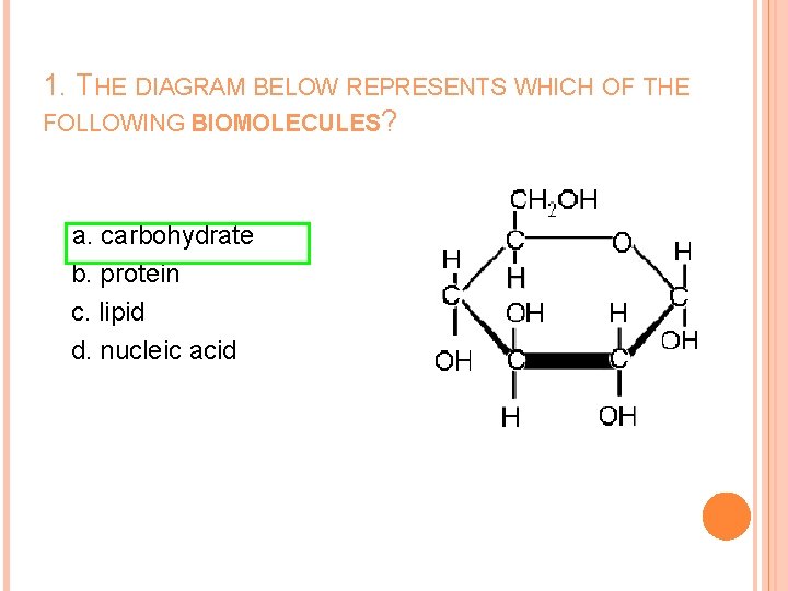 1. THE DIAGRAM BELOW REPRESENTS WHICH OF THE FOLLOWING BIOMOLECULES? a. carbohydrate b. protein