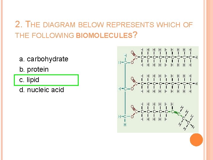 2. THE DIAGRAM BELOW REPRESENTS WHICH OF THE FOLLOWING BIOMOLECULES? a. carbohydrate b. protein
