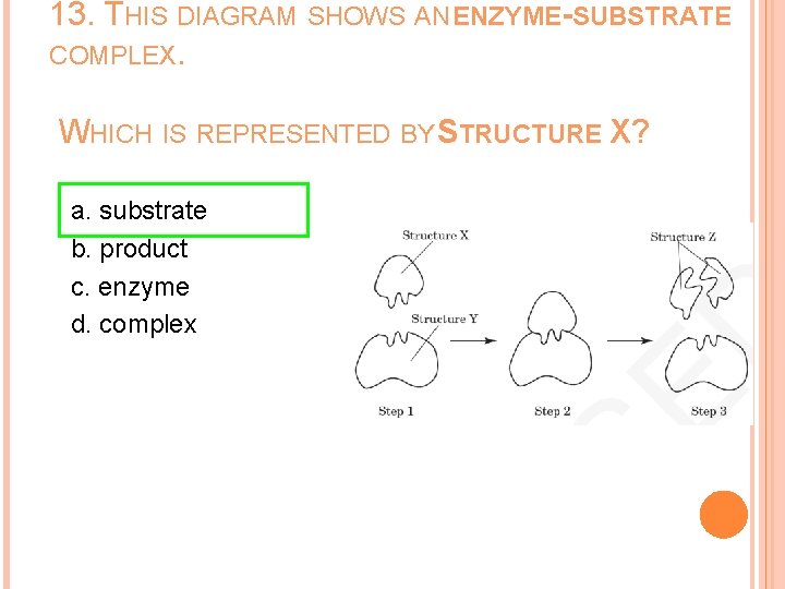 13. THIS DIAGRAM SHOWS AN ENZYME-SUBSTRATE COMPLEX. WHICH IS REPRESENTED BY STRUCTURE X? a.