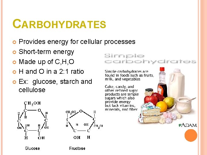 CARBOHYDRATES Provides energy for cellular processes Short-term energy Made up of C, H, O