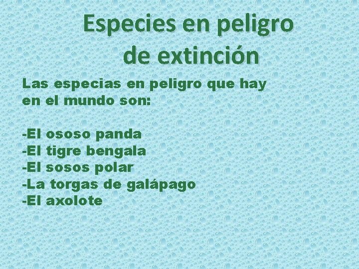 Especies en peligro de extinción Las especias en peligro que hay en el mundo