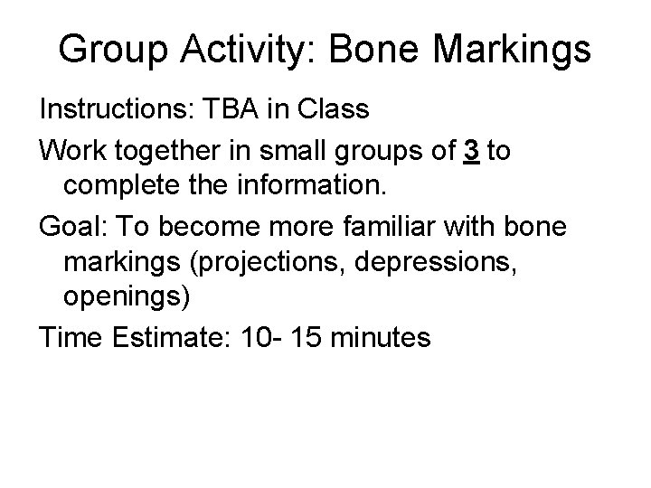 Group Activity: Bone Markings Instructions: TBA in Class Work together in small groups of