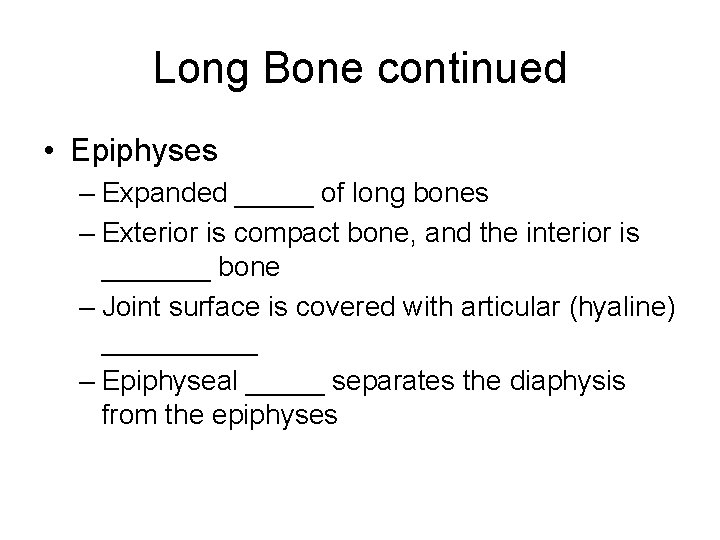Long Bone continued • Epiphyses – Expanded _____ of long bones – Exterior is