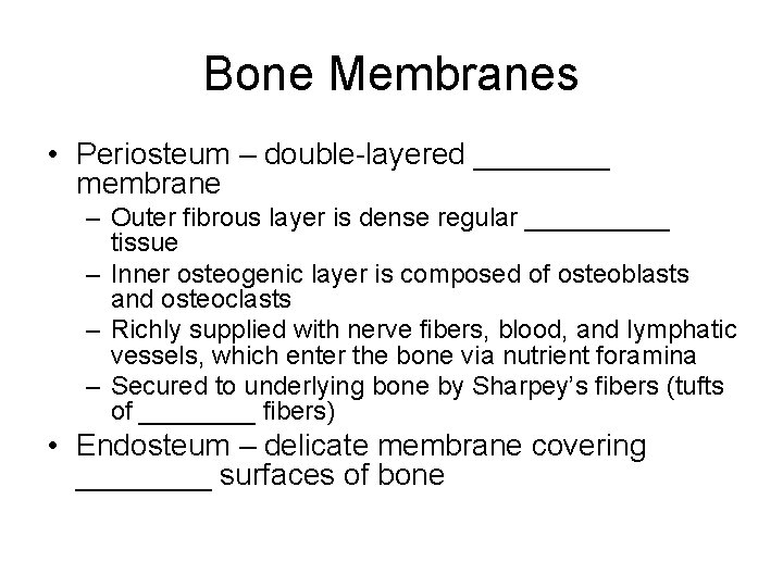 Bone Membranes • Periosteum – double-layered ____ membrane – Outer fibrous layer is dense