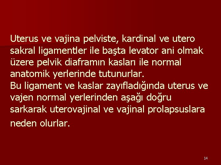 Uterus ve vajina pelviste, kardinal ve utero sakral ligamentler ile başta levator ani olmak