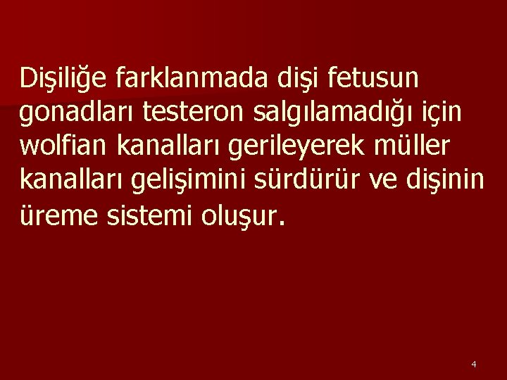 Dişiliğe farklanmada dişi fetusun gonadları testeron salgılamadığı için wolfian kanalları gerileyerek müller kanalları gelişimini