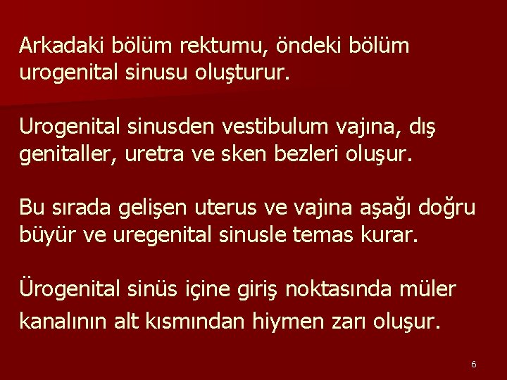 Arkadaki bölüm rektumu, öndeki bölüm urogenital sinusu oluşturur. Urogenital sinusden vestibulum vajına, dış genitaller,