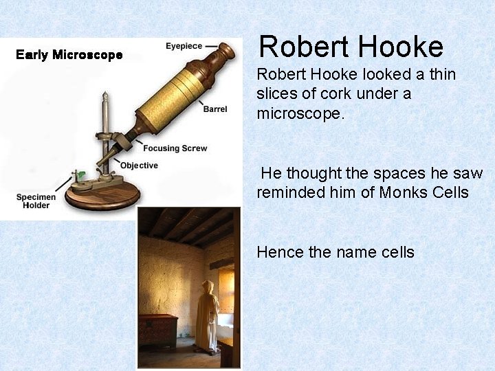 Robert Hooke looked a thin slices of cork under a microscope. He thought the