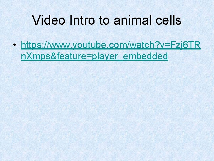 Video Intro to animal cells • https: //www. youtube. com/watch? v=Fzj 6 TR n.