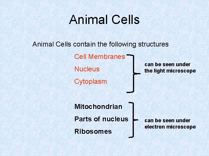 Animal Cells contain the following structures Cell Membranes Nucleus can be seen under the