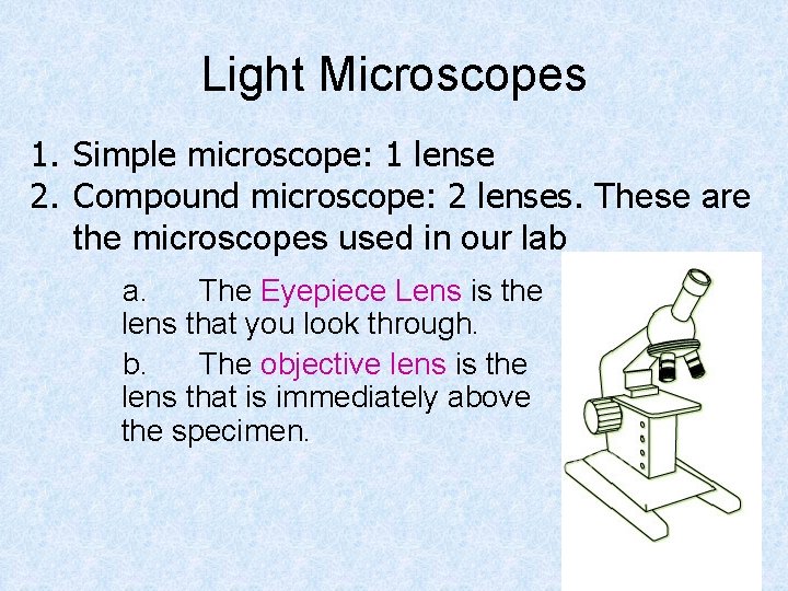 Light Microscopes 1. Simple microscope: 1 lense 2. Compound microscope: 2 lenses. These are