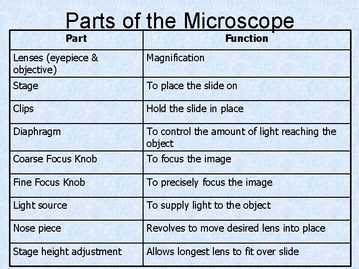 Parts of the Microscope Part Function Lenses (eyepiece & objective) Magnification Stage To place