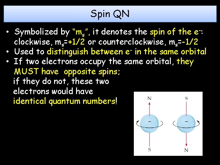 Spin QN • Symbolized by “ms”, it denotes the spin of the e-: clockwise,