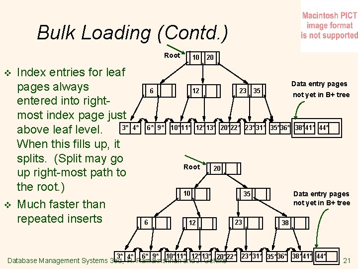 Bulk Loading (Contd. ) Root v v Index entries for leaf pages always entered