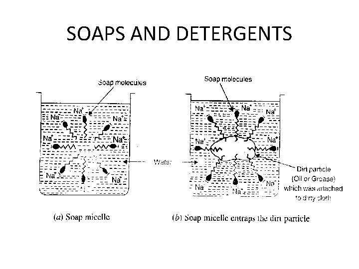 SOAPS AND DETERGENTS 