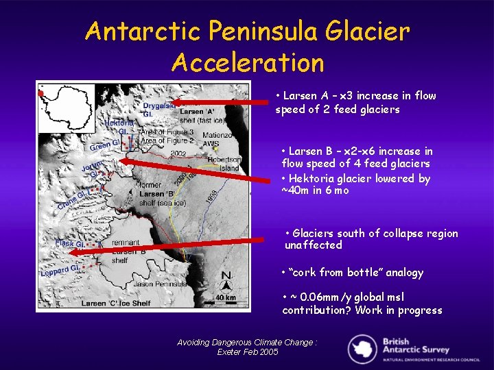 Antarctic Peninsula Glacier Acceleration • Larsen A – x 3 increase in flow speed