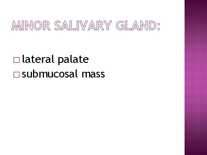 MINOR SALIVARY GLAND: � lateral palate � submucosal mass 
