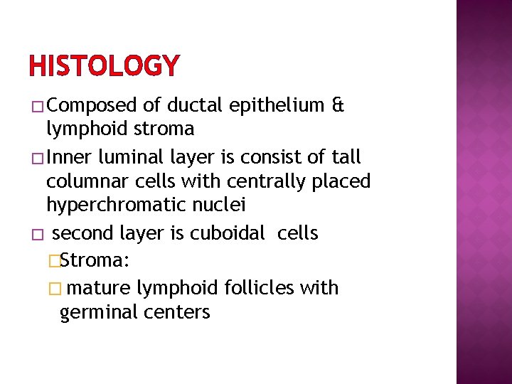 HISTOLOGY � Composed of ductal epithelium & lymphoid stroma � Inner luminal layer is