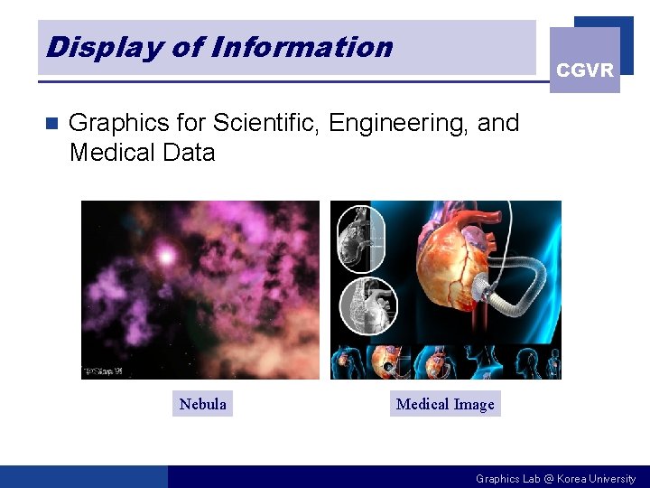 Display of Information n CGVR Graphics for Scientific, Engineering, and Medical Data Nebula Medical