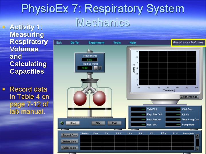 § Physio. Ex 7: Respiratory System Mechanics Activity 1: Measuring Respiratory Volumes and Calculating