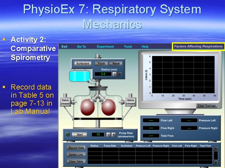 Physio. Ex 7: Respiratory System Mechanics § Activity 2: Comparative Spirometry § Record data