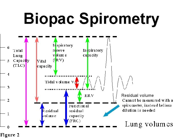 Biopac Spirometry Residual volume 