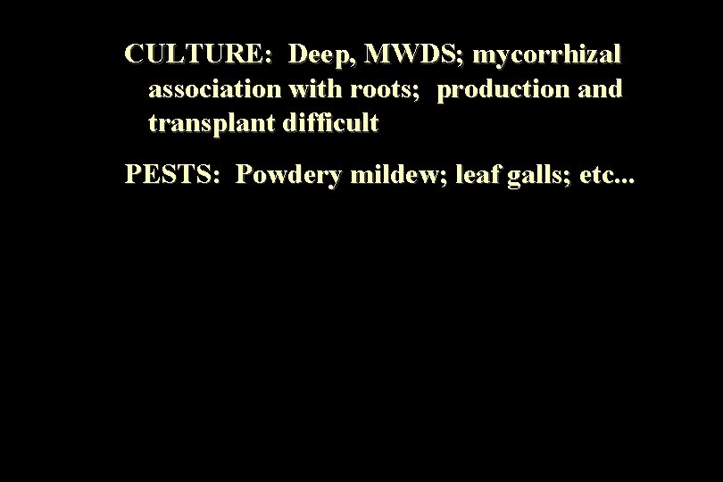 CULTURE: Deep, MWDS; mycorrhizal association with roots; production and transplant difficult PESTS: Powdery mildew;