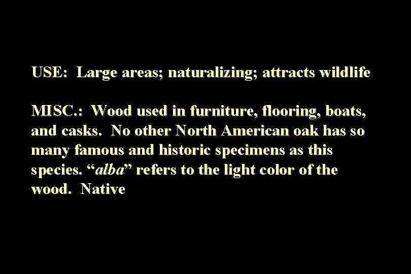 USE: Large areas; naturalizing; attracts wildlife MISC. : Wood used in furniture, flooring, boats,