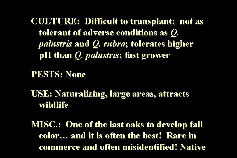 CULTURE: Difficult to transplant; not as tolerant of adverse conditions as Q. palustris and