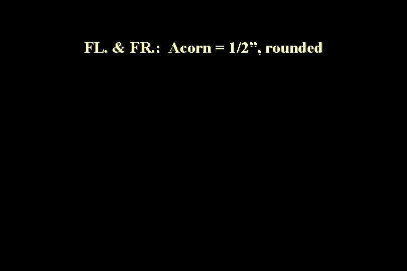 FL. & FR. : Acorn = 1/2”, rounded 