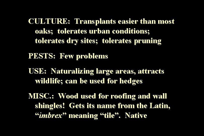 CULTURE: Transplants easier than most oaks; tolerates urban conditions; tolerates dry sites; tolerates pruning